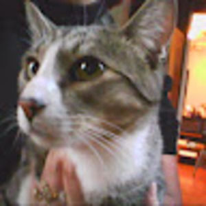 Meet your Posher, Vernetta